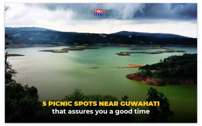 picnic