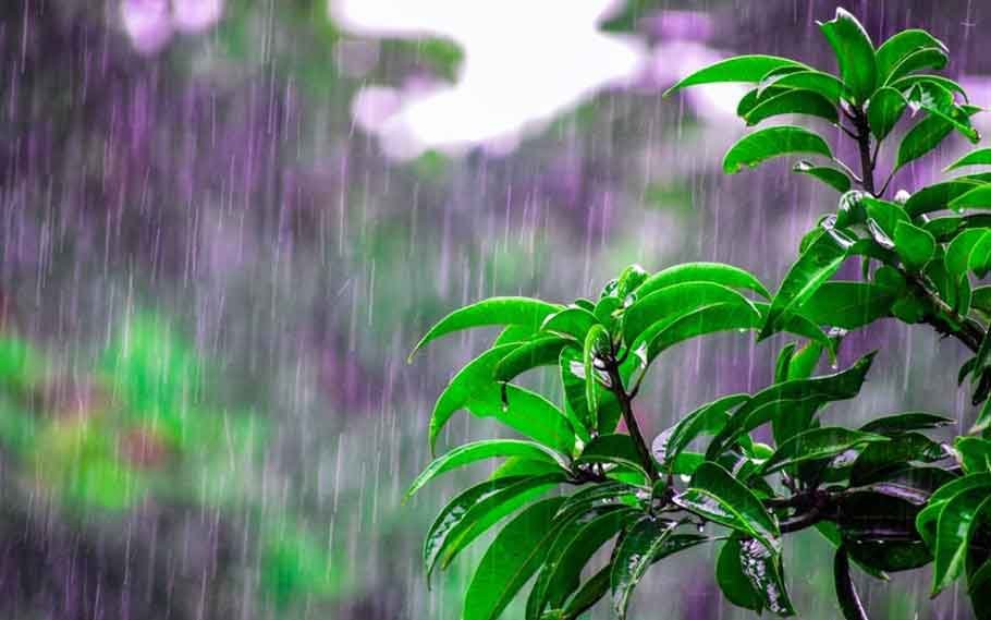 Skymet predicts normal monsoon in India in 2022 1 Skymet