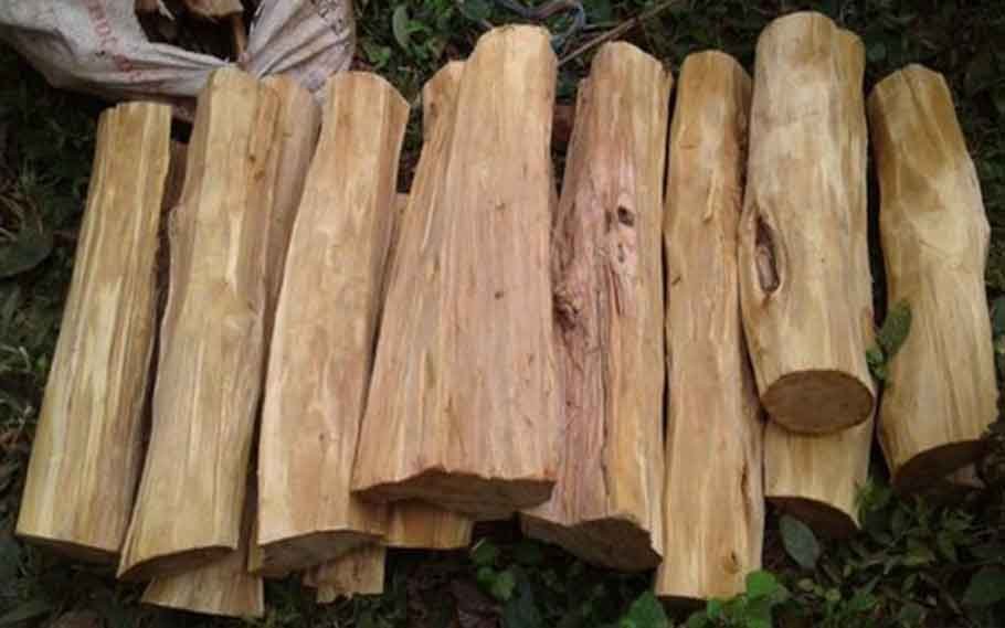 white sandalwood