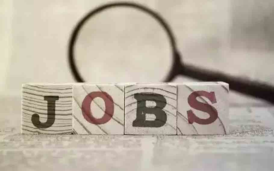 Agriculture Recruitment 2022: 11 Executive Vacancy Available 1 Agriculture Recruitment
