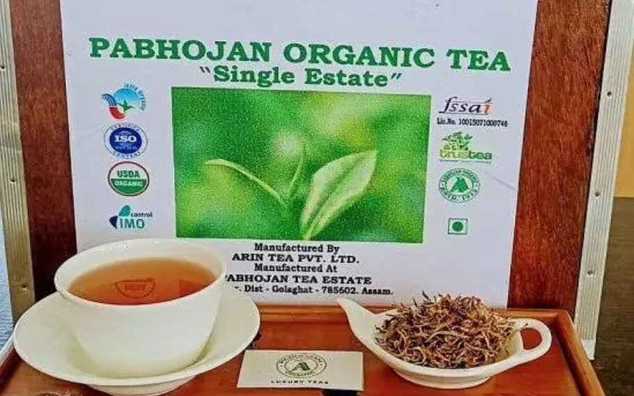 pabhajan gold tea 