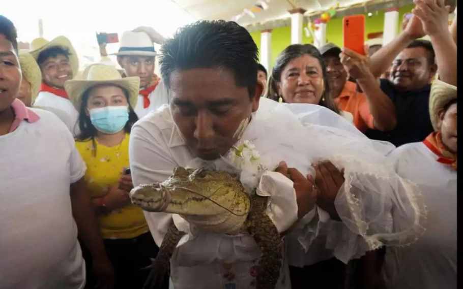 Mexican mayor marries alligator