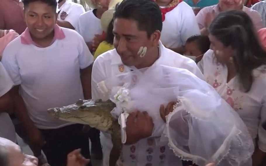 Mexican Mayor marries Alligator, seals with a kiss 2 Mexican Mayor marries Alligator
