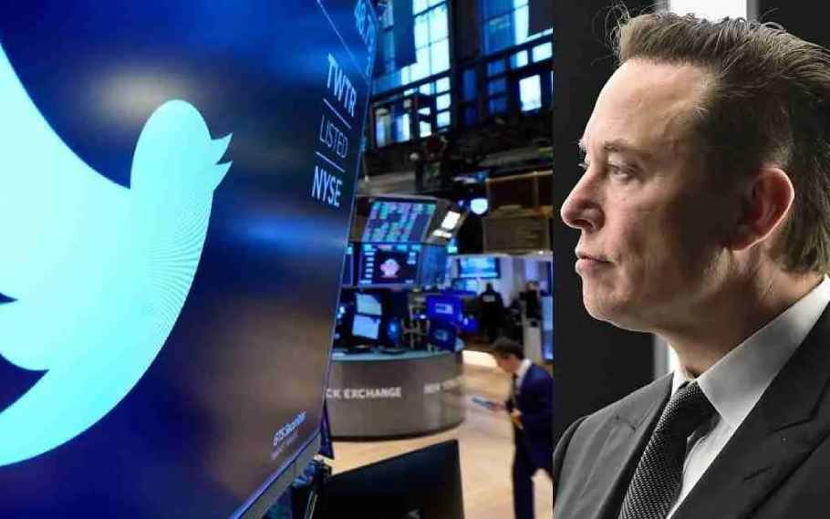 Elon Musk terminate Twitter