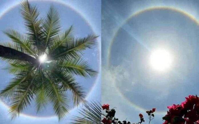 Sun halo