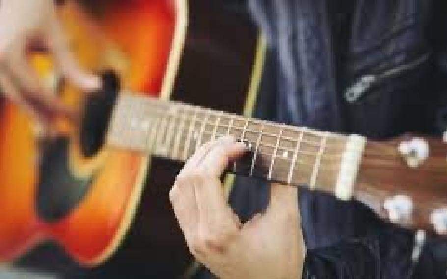 Did you know instrument strings are made from animals? 2 guitar
