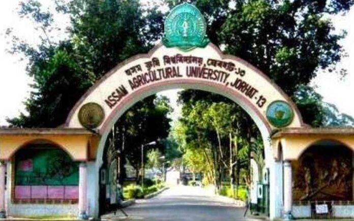 AAU Jorhat Recruitment