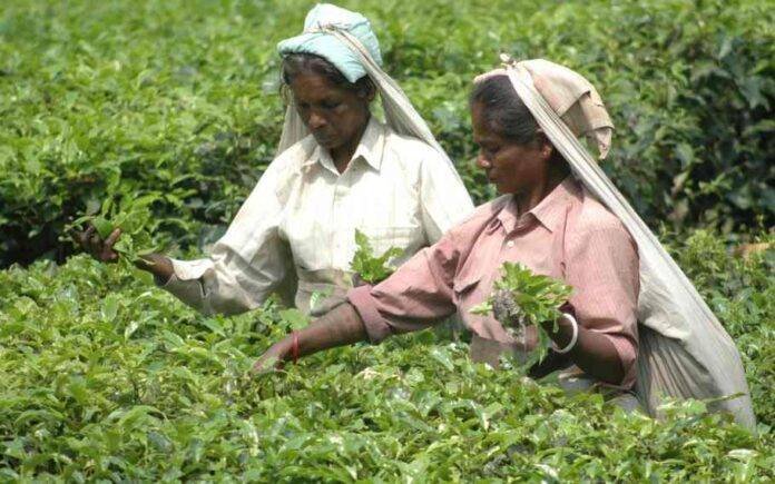 Impact of britishers