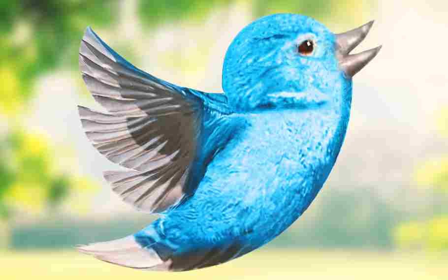 Did you know the Twitter bird has a name? Read to find out 1 twitter bird has a name