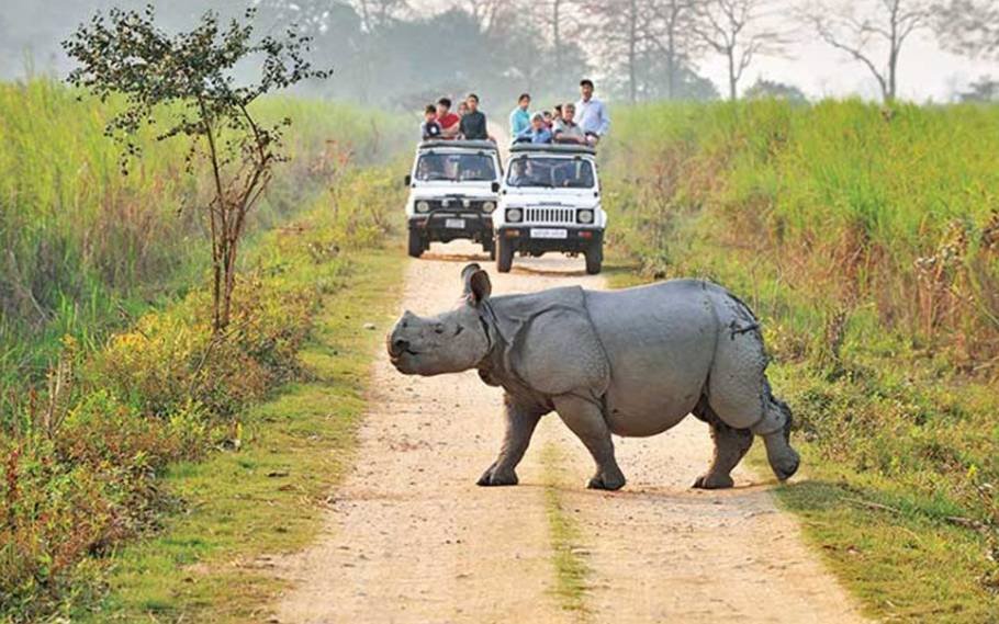 World Tourism Day Celebrated At Kaziranga National Park 1 World Tourism Day