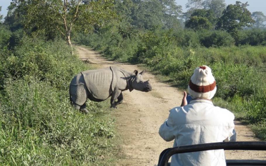 Kaziranga National Park: A Home To 2,613 Rhinos Including Adults 1 Kaziranga National Park