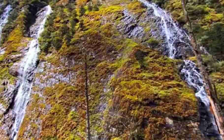 Watch: Arunachal Pradesh CM shares breathtaking post of Yameng Waterfall 1 yameng waterfall