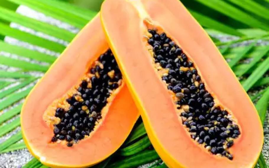 Fruits To Add To Your Diet To Keep Your Body Hydrated 1 Fruits