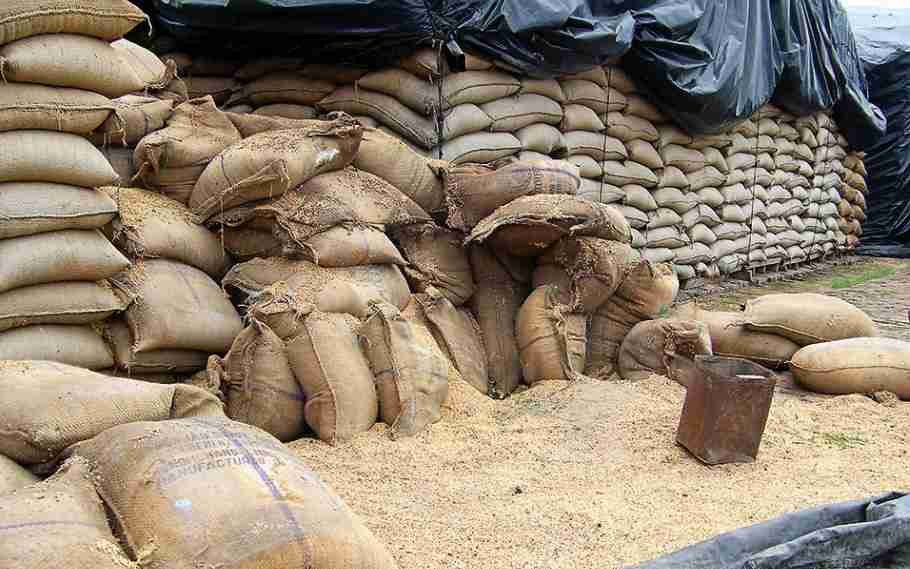 Morigaon DC Orders Probe Into PDS Rice Scam In District 1 Morigaon DC Orders Probe
