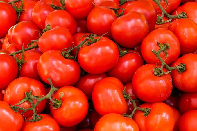 Time to lock up your tomatoes? Vehicle carrying tomatoes worth Rs. 2 lakh stolen in Bengaluru amid soaring prices