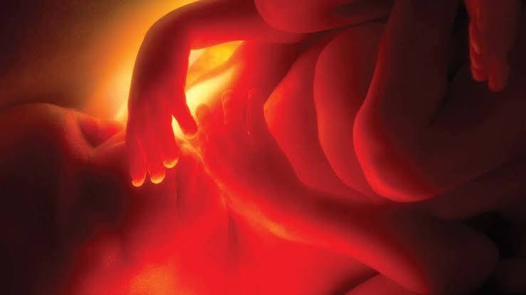 Amazing! Soon Man and Woman wont need each other to have babies; Scientists one step away from making human babies from a single cell 1 Soon Man and Woman wont need each other to have babies; Scientists one step away from making human babies from a single cell