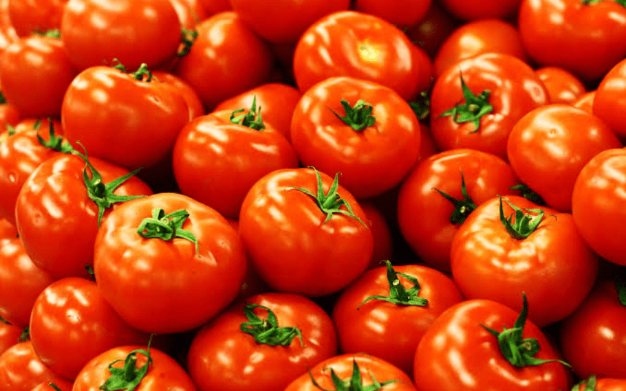 Tomato Drama: Rajya Sabha adjourned as AAP MP Sushil Kumar Gupta wears garland of tomatoes to parliament to protest the rising price 1 Tomato drama: Rajya Sabha adjourned as AAP MP Sushil Kumar Gupta wears garland of tomatoes to parliament to protest the rising price
