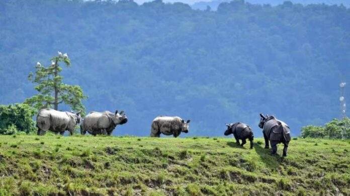 Assam