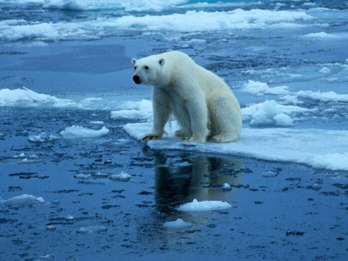 Global Warming