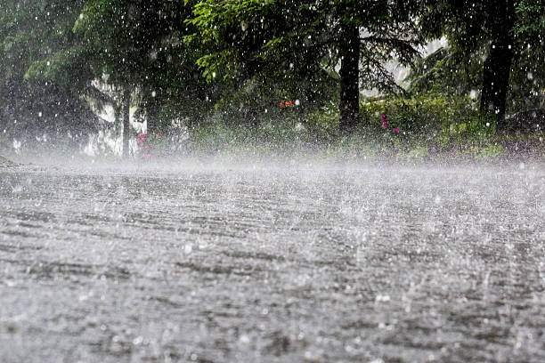 Northeast Rainfall
