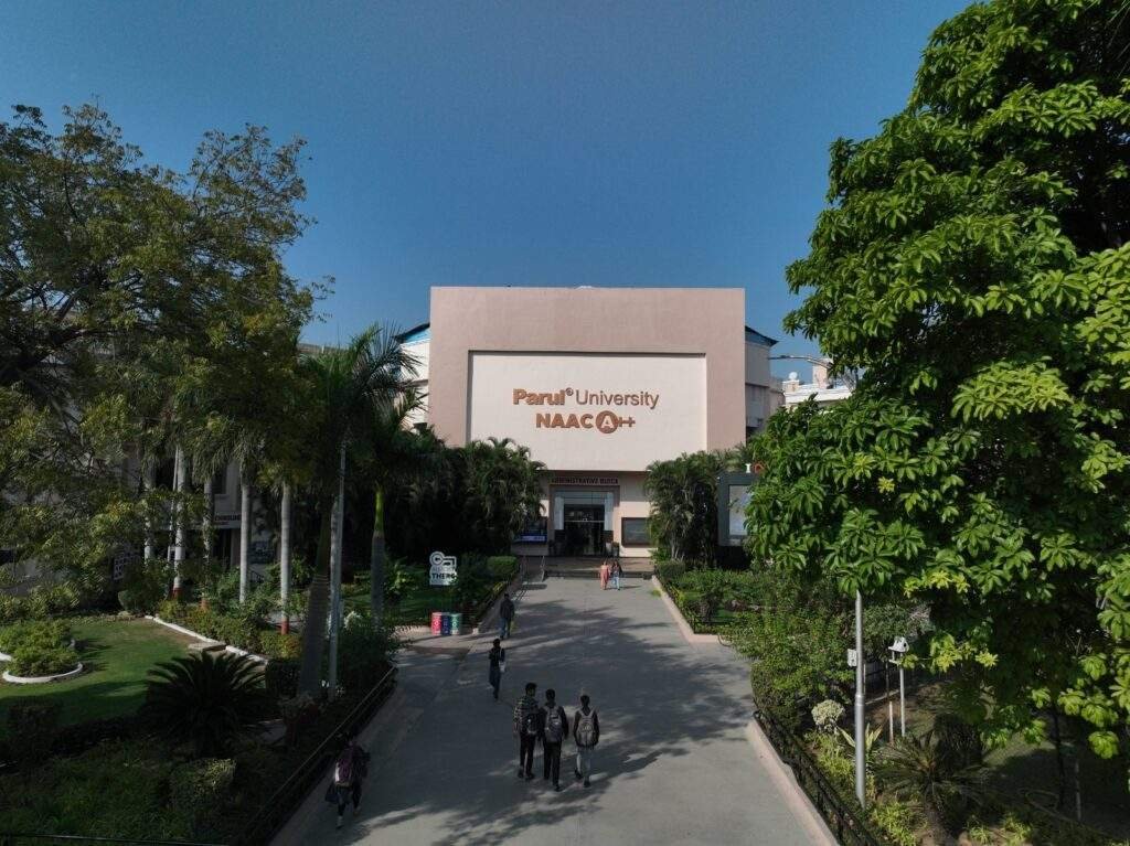 WhatsApp Image 2024 08 13 at 4.11.40 PM 1