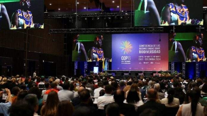 COP16 Summit