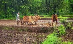Farmers