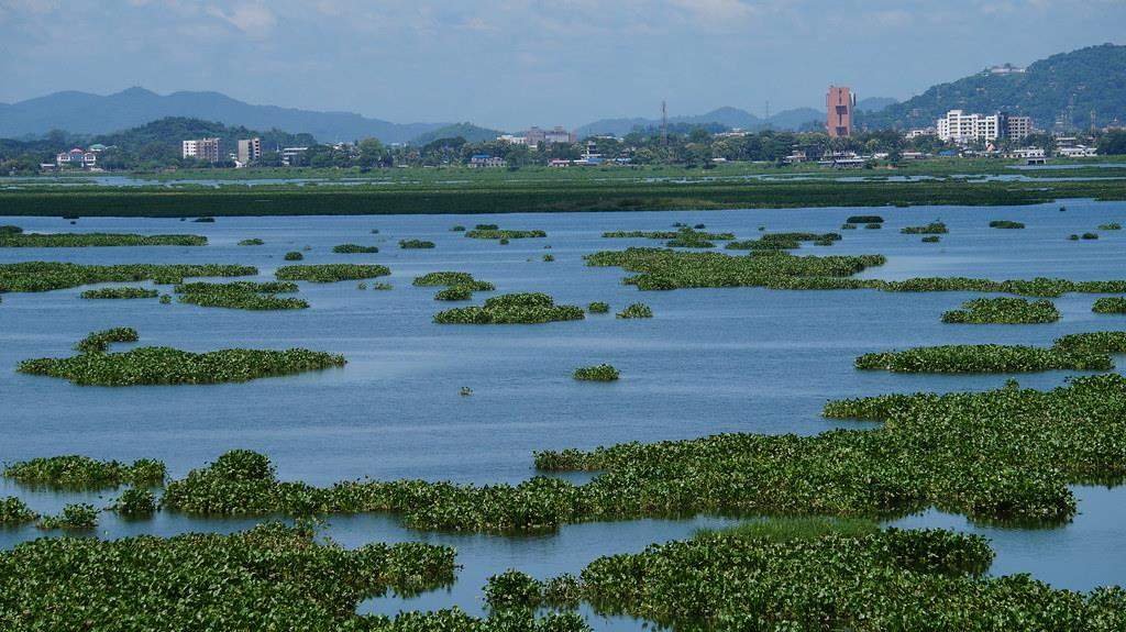 The Serene Lakes of Northeast India: A Treasure Trove of Natural Beauty 4 Diper Bil 182319