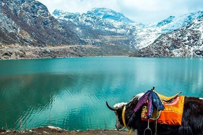 The Serene Lakes of Northeast India: A Treasure Trove of Natural Beauty 3 de