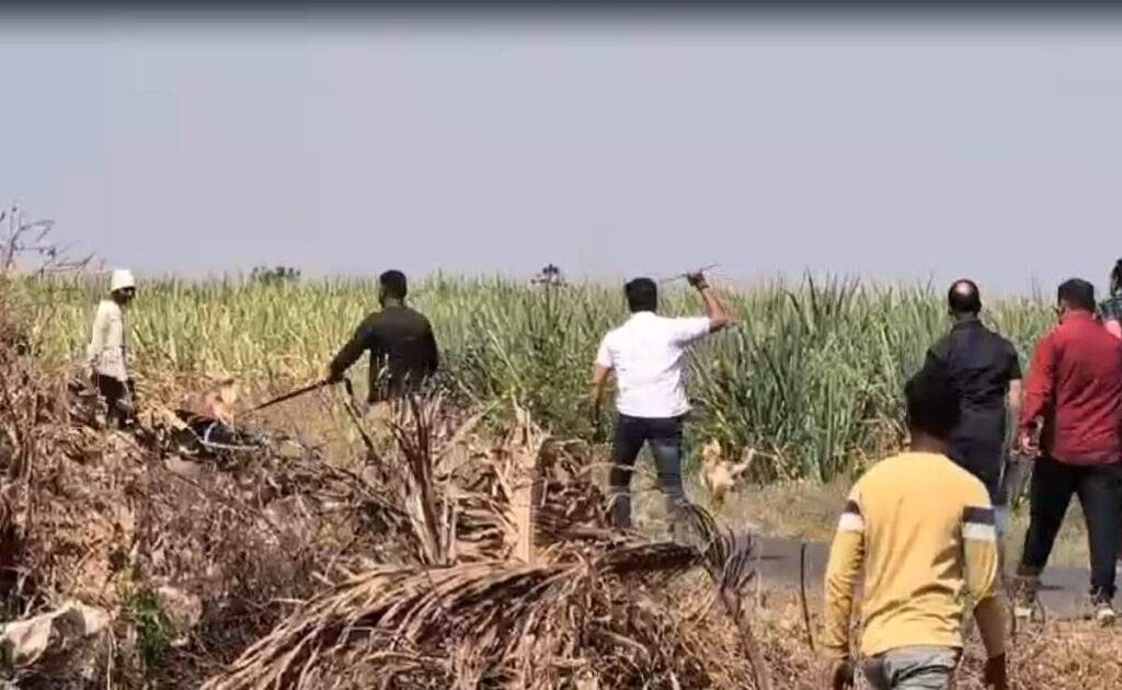 6iabeoho pune bus rape case accused hiding in sugarcane field 625x300 27 February 25