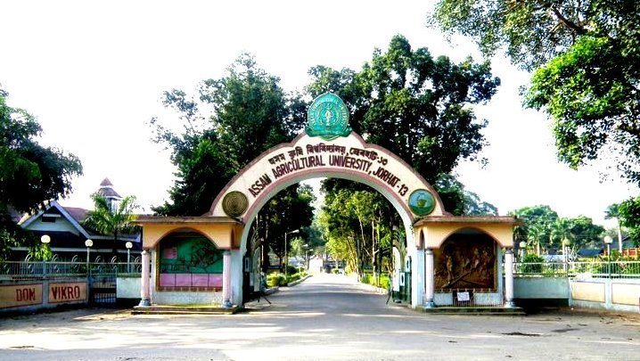 AAU Jorhat Recruitment 2025: Apply Online for 28 Non-Teaching Posts Now! 1 Assam Agriculture University