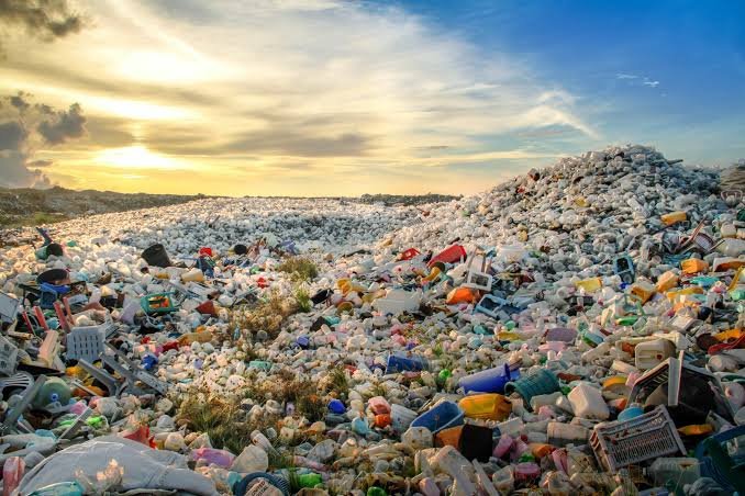 The Problem with Plastic and How to Reduce It 1 Plastic