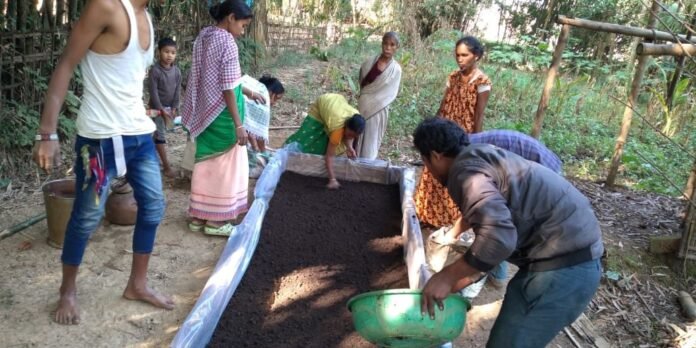 sustainable agriculture Assam eco-friendly farming 2025 organic farming Assam green agriculture India Assam farming innovation