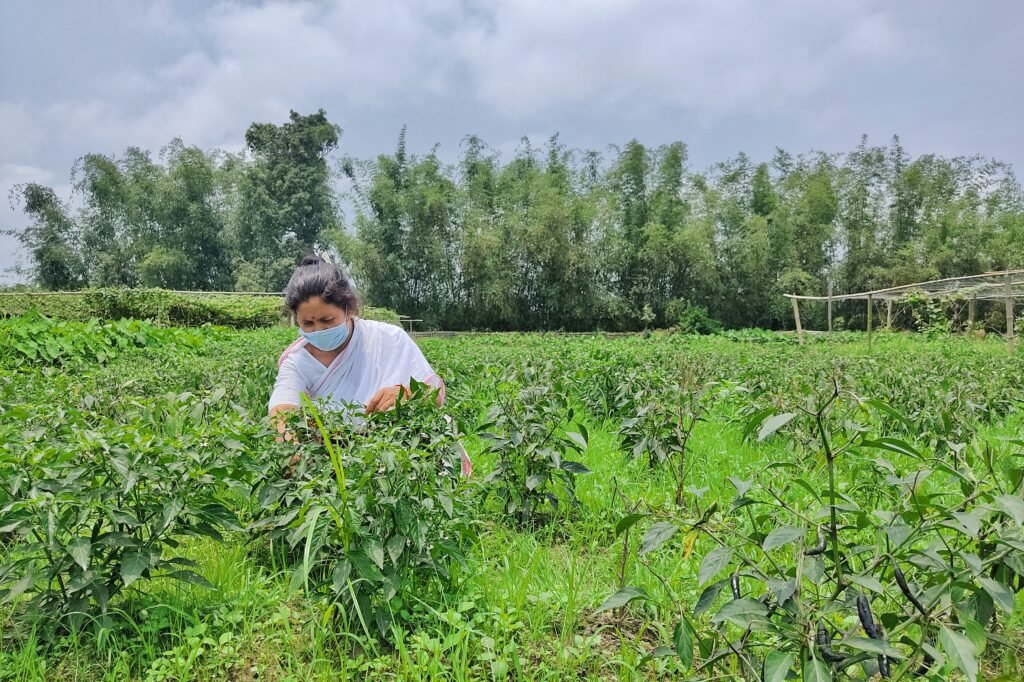 farming1