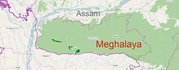 Tension Flares at Assam-Meghalaya Border as Villagers Uproot Saplings, Burn Plantation Structures in Lapangap 1 images 1 1